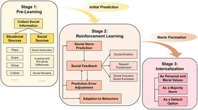 Frontiers How we learn social norms a three stage model for